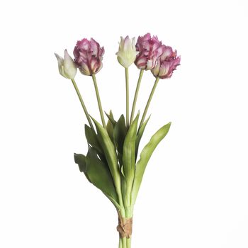 Real Touch Papagei Tulpe x5 L40cm Lila