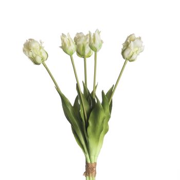 Real Touch Parrot Tulip x5 L40cm White/Green