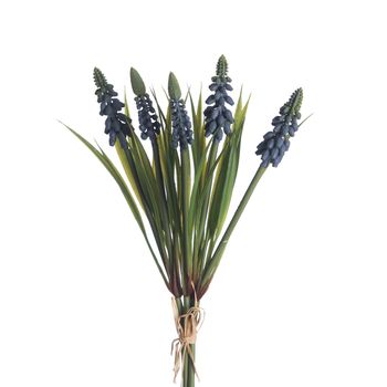 Muscari Bündel x5 L28cm Blau