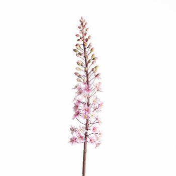 Eucomis Spray L87cm Pink