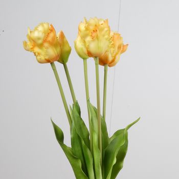 Real Touch Parrot Tulip x5 L40cm Yellow