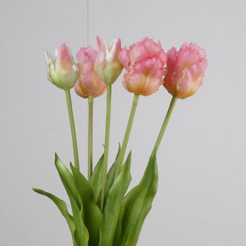 Real Touch Parrot Tulip x5 L40cm Pink