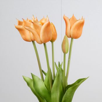 Real Touch Tulip Bundle x5 L45cm Peach