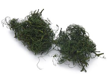 Curly moss mossgreen 500g