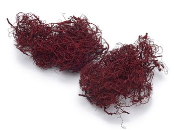 Curly moss red 500g
