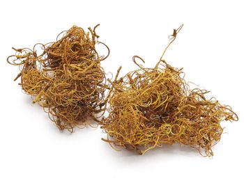 Curly moss yellow 500g