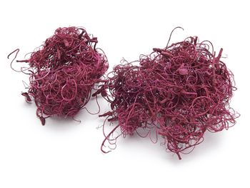 Curly moss pink 500g