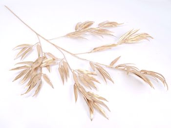 Bamboo spray gold 100cm