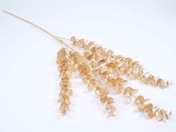 Eucalyptus spray gold 84cm