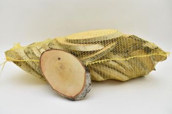 Birkenscheibe groß oval 19-23 / 2 cm , 40 Stück im Netz