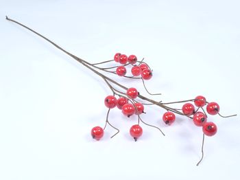 Berryspray red 60cm