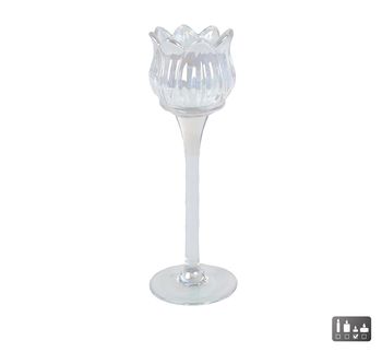 Theelichthouder "Tulip" L ion pearl glas 7x7x22cm