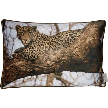 Kissen Leopard Samt Braun 40x60cm