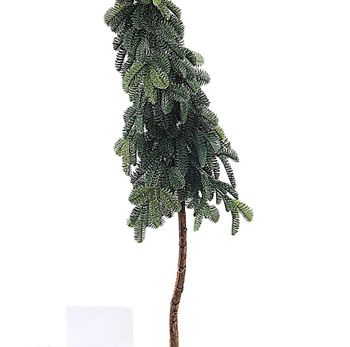 AngelPine Cone Tree on Stem in Pot 160cm Green