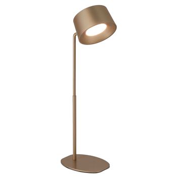 Lamp Design LED op accu goud, met wandbevestiging 12x12x35cm