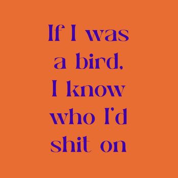 Tegeltje if I was a bird