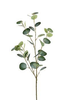 Eukalyptus l80cm grün