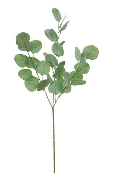 Eucalyptus l65cm groen