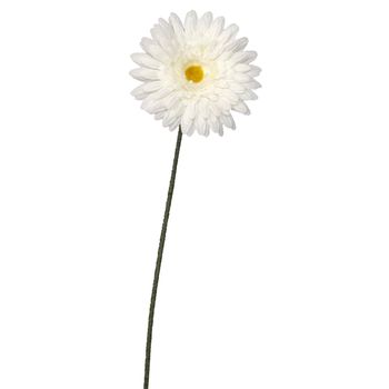 Gerbera wit - l64cm