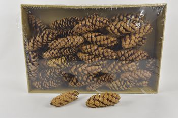 Dennenappel 'Strobus' gelakt ±15cm 50pcs