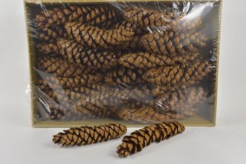 Dennenappel 'Strobus' gelakt ±30cm 25pcs