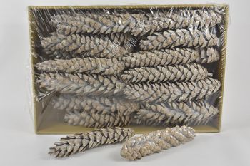 Dennenappel 'Strobus' bevroren wit ±30cm 25pcs