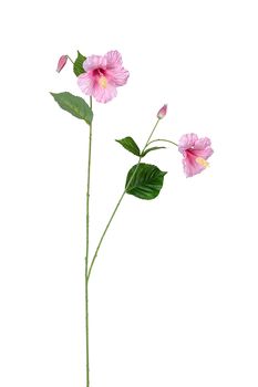 Hibiskus l110cm rosa