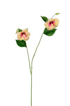 Hibiscus l110cm zalm/roze