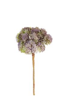 Sedum pick l20cm lila