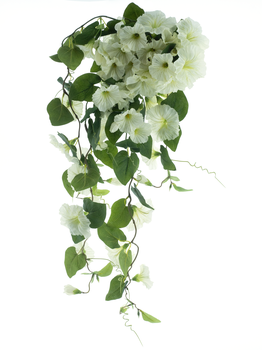 Hanging petunia bush cream 79cm