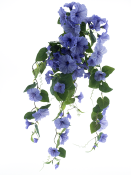 Hanging petunia bush lavender 79cm