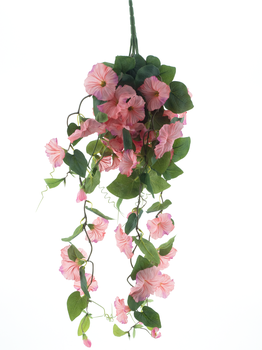 Hanging petunia bush pink 79cm