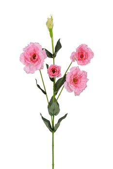 Lisianthus l74cm roze