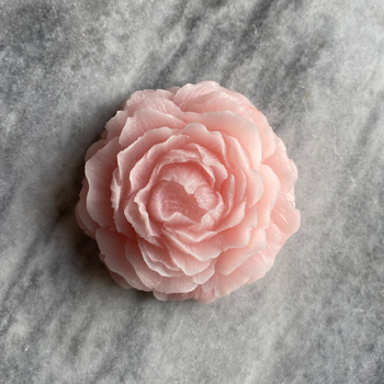 Roos amberblok deluxe 8x8x3,5cm - rose
