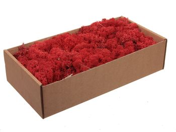 w/b. 500g. finnland moss red 500gram