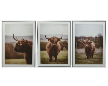 Deco schilderij buffel mdf - 2,5x50x70cm - 3ass.