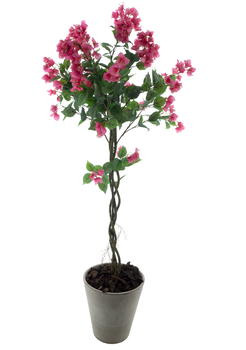 Bougainvillea Baum im Topf rosa 165cm