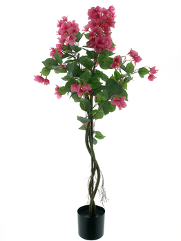 Bougainvillea tree in pot pink 120cm