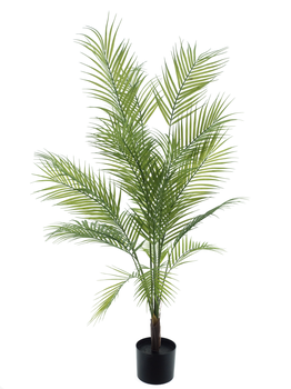 Areca palm Sara in pot green 130cm