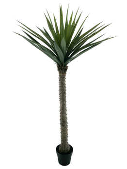 Yucca in pot green 140cm