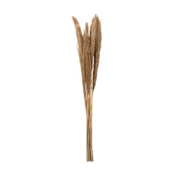 Bundle Nanal Grass 75cm Natural