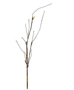 Gekräuselter Zweig l60cm grün