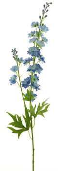 Delphinium Finn spray blue 85cm