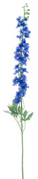 Delphinium spray Akana blue 125cm