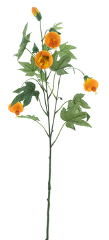 Goldregen Spray Orange 81cm