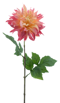 Dahlia spray Mumba cream/pink 63cm