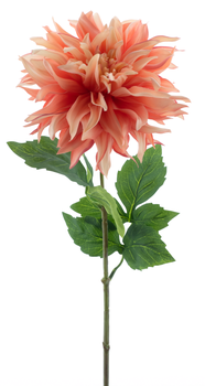 Dahlia spray Mumba peach 63cm