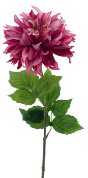 Dahlia spray Mumba beauty 63cm