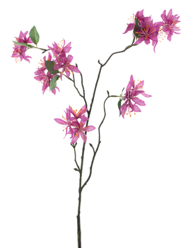 Wild clematis spray fuchsia 81cm