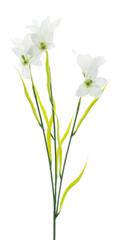 Wild cora bell spray white 63cm